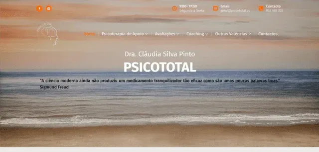 Psicototal: Website development, Web hosting